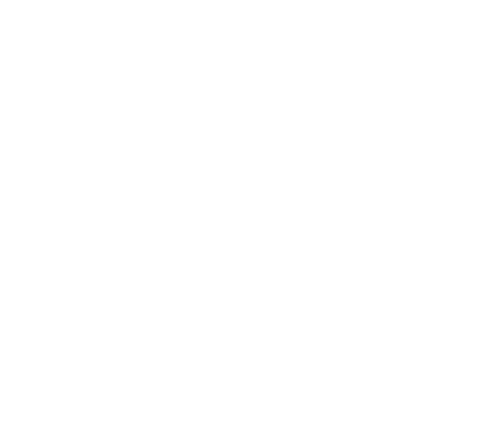 本体表面豪華な仕様